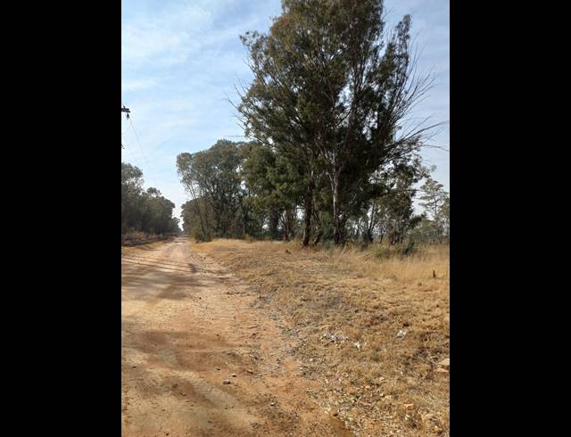 16HA VACANT LAND FOR SALE IN WALKER FRUIT FARMS